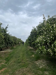 Picture of PIRSA Loxton Demonstration Farm and ThincLab